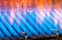 Lansdown gas fired boilers